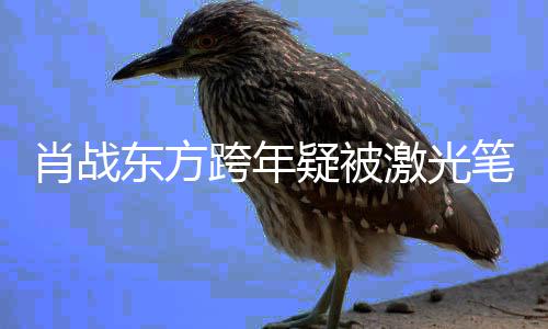 笔照东方目光明显某方回避射 疑被跨年肖战向激光
