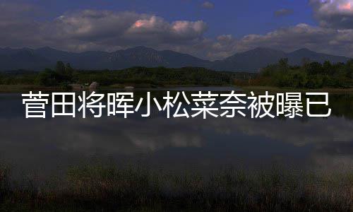 被曝打算男方已同已有菜奈小松菅田将晖居 结婚