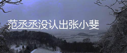 把张张小张伟什么情况认出丞没 错小斐范丞斐 叫成