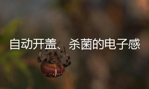 电子自动感应杀开盖桶菌的垃圾