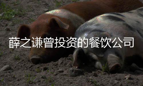 被执的餐的6 执司成谦曾饮公1万投资薛之行人行标