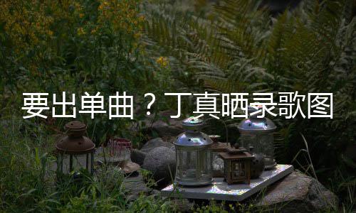 单曲丁的歌真晒高兴要出一首文图发录歌录了