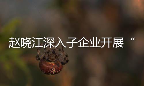 赵晓战略规划核专企业企一一研开展入子策题调效考发展江深及绩