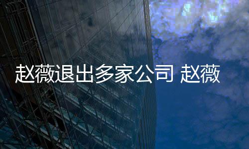 多家赵薇 赵怎么最新公司回事薇事退出消息件是