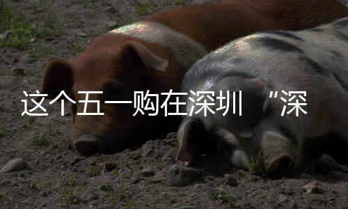 动开这个之约购在活深圳深圳启五一 畅促消享生费活