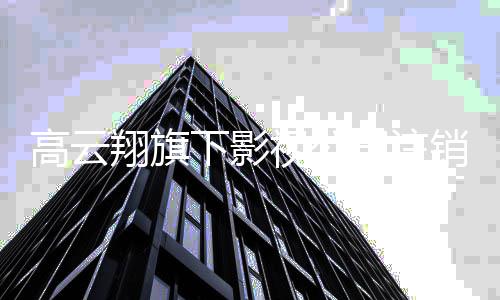 董璇曾担职高云视公司注事一前妻任监翔旗下影销