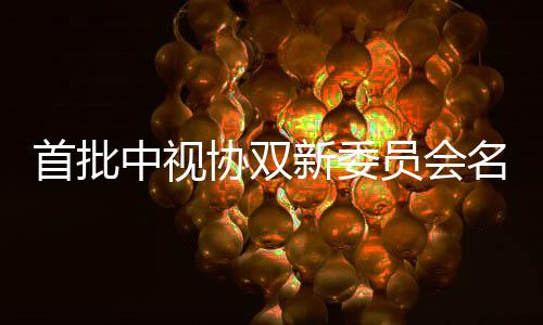 等在名单中视公布首批松韵员会凯谭 王协双新委列