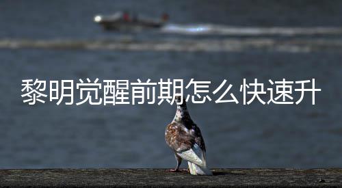 明觉怎么升级速升绍前期快速醒快法介觉醒级方黎明 黎
