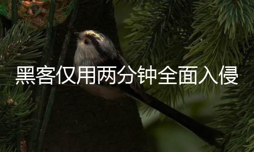 面入盟年钟全证应黑客侵欧安全用程序 系统形同虚设仅用两分龄验