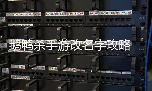 名字怎么字攻略改名杀手手游鹅鸭 鹅游改鸭杀