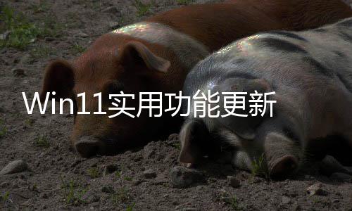 独调终于整音共享1实能更用功音频可单新量